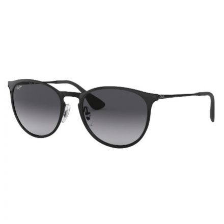 Ray-Ban RB 3539 002/8G Erika Metal