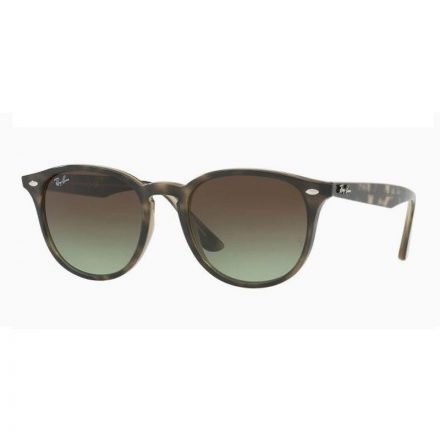 Ray-Ban RB 4259 731/E8