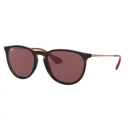 Ray-Ban RB 4171 639175 Erika