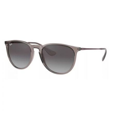 Ray-Ban RB 4171 65138G Erika