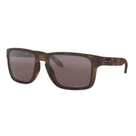 Oakley OO 9417 02 Holbrook Xl