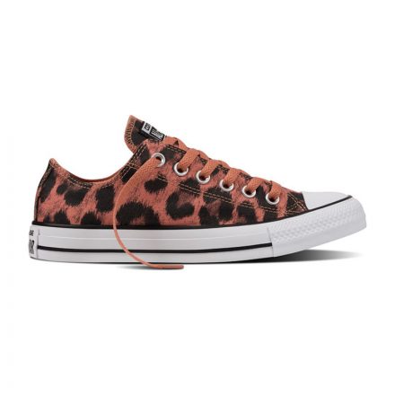 Converse CTAS Animal Print OX